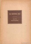 PETZOLD, RICHARD - Franz Schubert élete képekben (1797-1828) [antikvár]