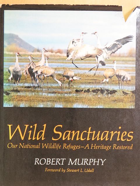 Robert Murphy - Wild Sanctuaries [antikvár]