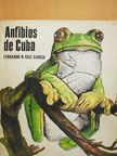 Fernando N. Ruiz García - Anfibios de Cuba [antikvár]