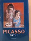 Robert Hughes - Picasso [antikvár]