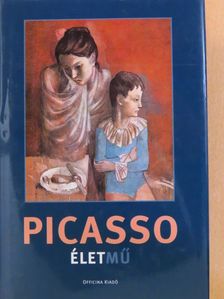 Robert Hughes - Picasso [antikvár]