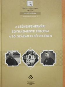 A Székesfehérvári Egyházmegye zsinatai a 20. század első felében - CD-vel [antikvár]