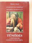 Páldeák I. József - Tűnődés a hiúságok hiábavalóságáról [antikvár]