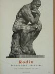 Cécile Goldscheider - Rodin [antikvár]