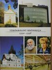 Czukor Erzsébet - Törökbálint krónikája [antikvár]