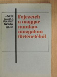 Borsányi György - Fejezetek a magyar munkásmozgalom történetéből [antikvár]