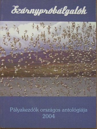 Hargitai Andrea - Szárnypróbálgatók 2004 [antikvár]