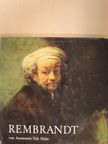 Annemarie Vels Heijn - Rembrandt [antikvár]