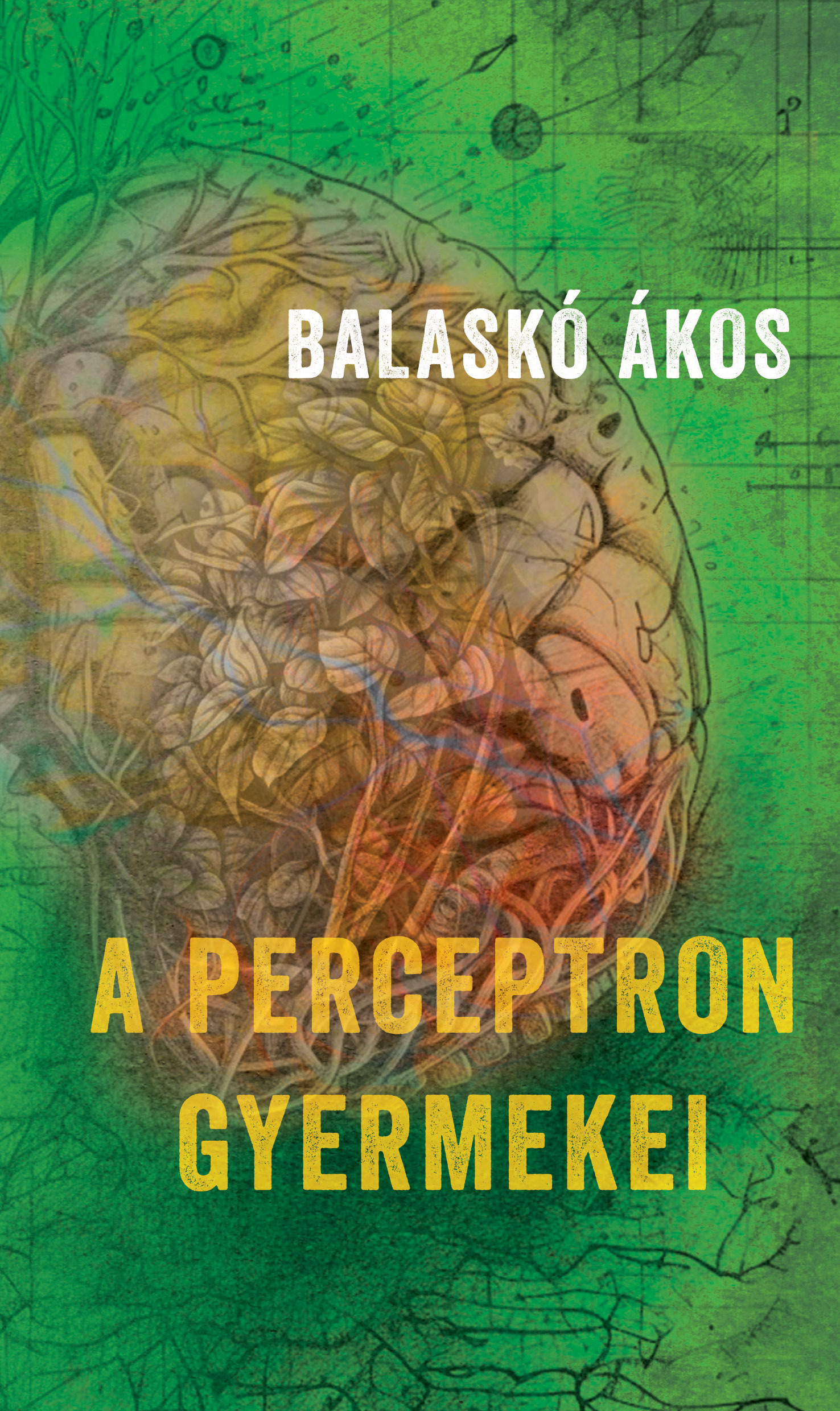 Balaskó Ákos - A perceptron gyermekei [eKönyv: epub, mobi]