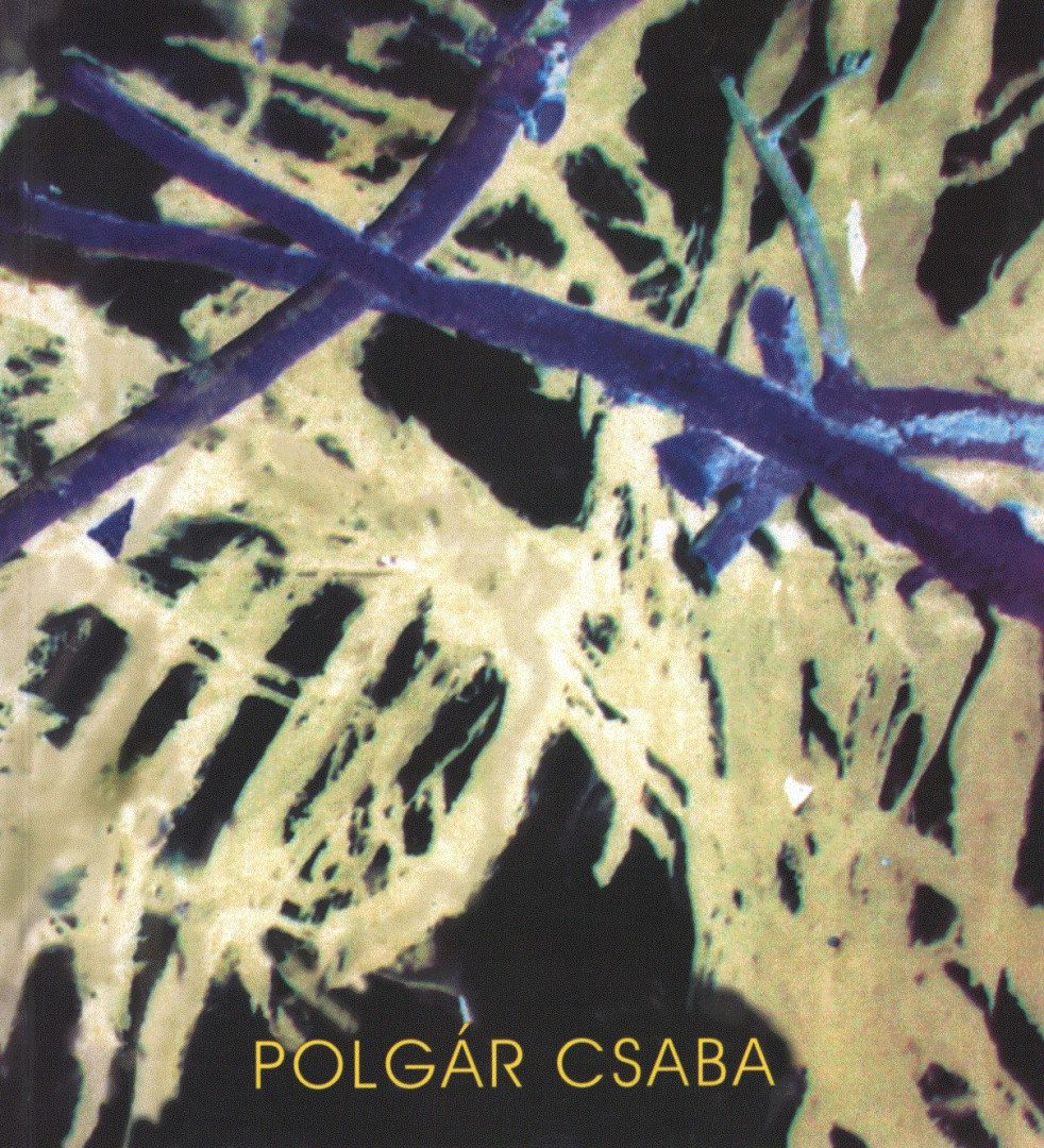 Polgár Csaba [antikvár]