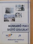 Dávid Andrea - Munkaerő-piaci segítő szolgálat [antikvár]