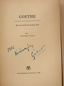 Johann Wolfgang von Goethe - Goethe [antikvár]