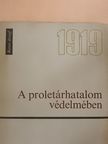 Rotter József - A proletárhatalom védelmében [antikvár]