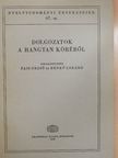B. Lőrinczy Éva - Dolgozatok a hangtan köréből [antikvár]