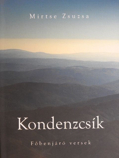 Mirtse Zsuzsa - Kondenzcsík [antikvár]