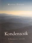 Mirtse Zsuzsa - Kondenzcsík [antikvár]