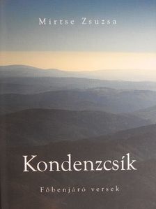 Mirtse Zsuzsa - Kondenzcsík [antikvár]