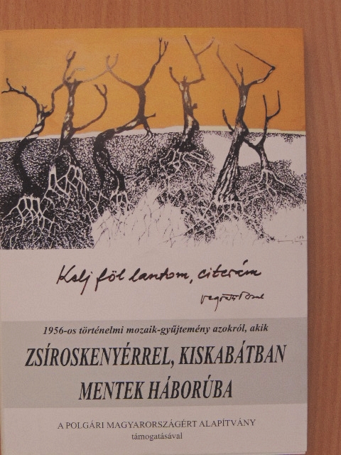 Bodó József - Kelj föl lantom, citerám [antikvár]
