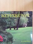 Dr. Viczián Miklós - Képeskönyv [antikvár]
