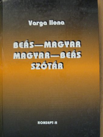 Varga Ilona - Beás-magyar, magyar-beás szótár [antikvár]