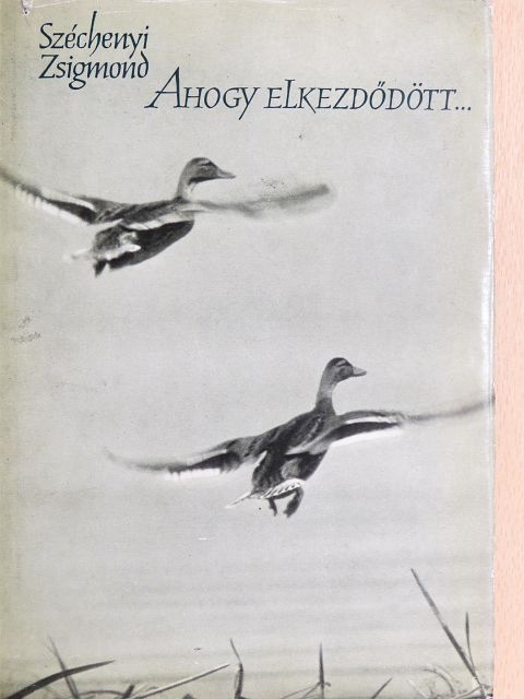 Széchenyi Zsigmond - Ahogy elkezdődött... [antikvár]