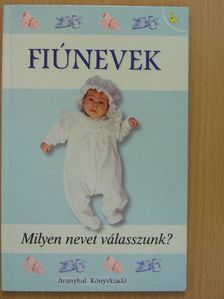 Pálfy Gyula - Fiúnevek [antikvár]