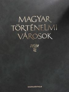 Balázs Imre József - Magyar történelmi városok [antikvár]