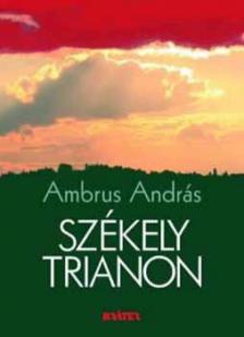 Ambrus András - Székely Trianon [antikvár]