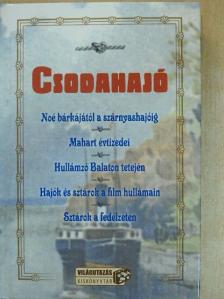 Nemlaha György - Csodahajó [antikvár]