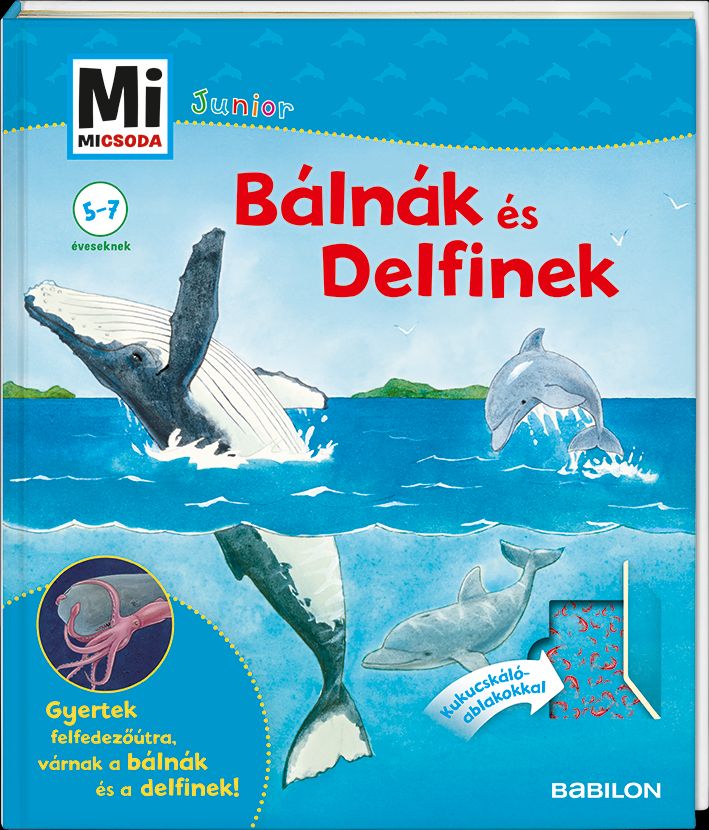 Elisabeth Kiefmann - Mi MICSODA JUNIOR - Bálnák és delfinek