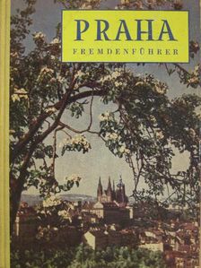 Ivan Pfaff - Praha Fremdenführer [antikvár]