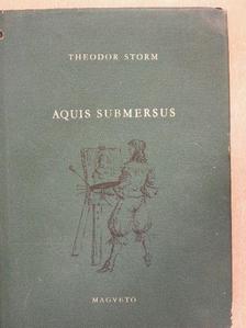 Theodor Storm - Aquis Submersus [antikvár]