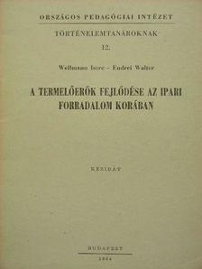 Endrei Walter - A termelőerők fejlődése az ipari forradalom korában [antikvár]