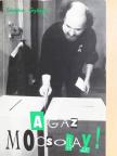Sándor György - A gaz Mocsolay! [antikvár]