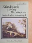 Madarász Imre - Kalandozások az olasz Parnasszuson [antikvár]