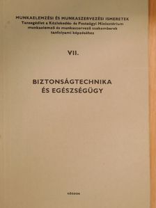 Bernhardt György - Biztonságtechnika és egészségügy [antikvár]