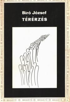 BÍRÓ JÓZSEF - Térérzés [antikvár]