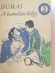 Ifjabb Alexandre Dumas - A kaméliás hölgy [antikvár]