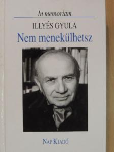 Achille Dauphin-Meunier - Nem menekülhetsz [antikvár]