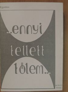 Dr. Berecz Ferenc - Egyelőre ennyi tellett tőlem [antikvár]