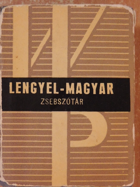 Varsányi István - Lengyel-magyar zsebszótár [antikvár]
