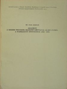 Dr. Rigó Jázonné - Adalékok a szegedi dolgozók életkörülményeinek alakulásáról a stabilizáció időszakában (1924-1929) [antikvár]