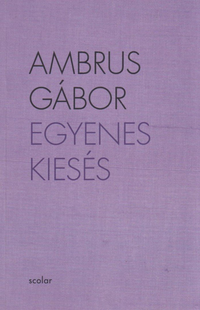 Ambrus Gábor - Egyenes kiesés [antikvár]