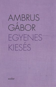 Ambrus Gábor - Egyenes kiesés [antikvár]