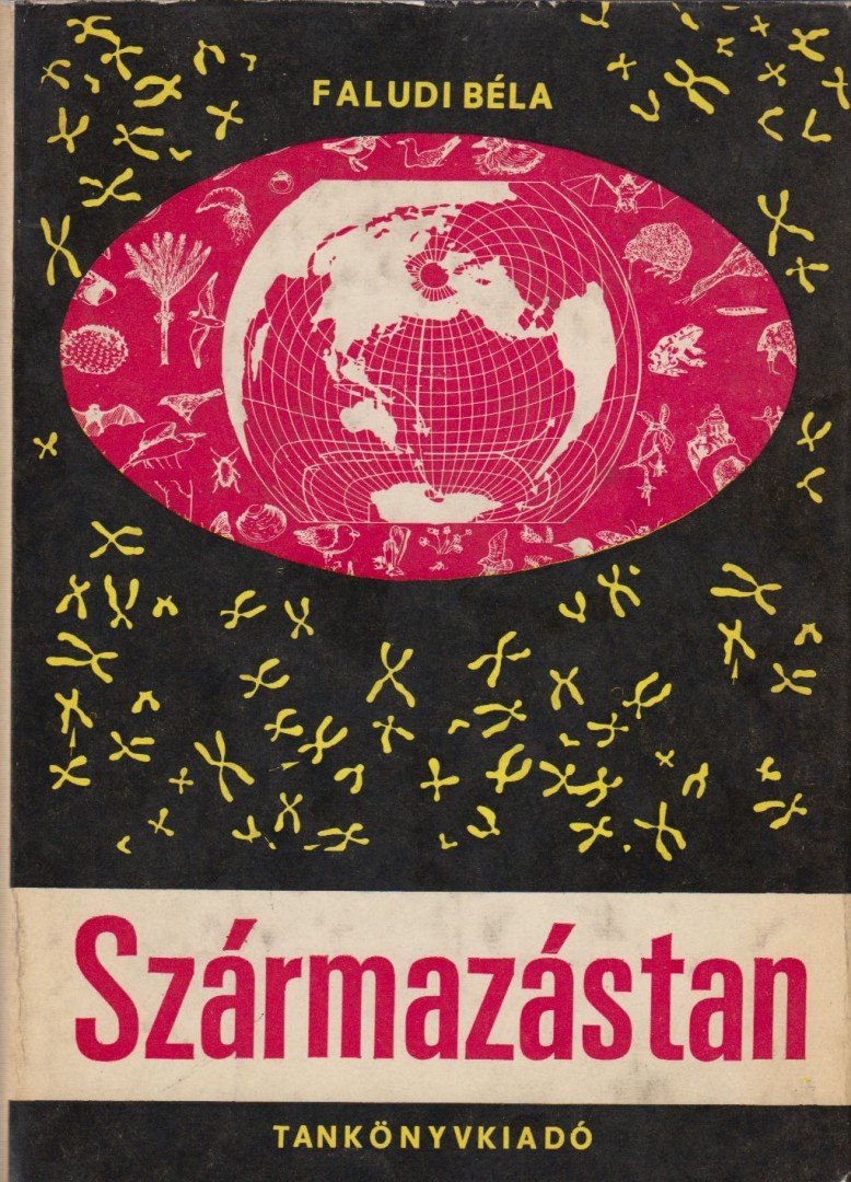 Faludi Béla - Származástan [antikvár]