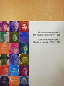 Multietnikus dimenziók - Dél-Magyarország 1916-1920 [antikvár]