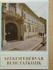 Székesfehérvár bemutatkozik [antikvár]