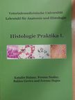 Ferenc Hajós - Histologie Praktika I. [antikvár]