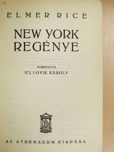 Elmer Rice - New York regénye [antikvár]