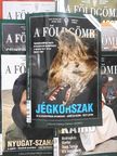 Besenyő János - A Földgömb 2008. (nem teljes évfolyam) [antikvár]